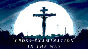 Cross Examination Series Graphic.jpg with exposure in the way