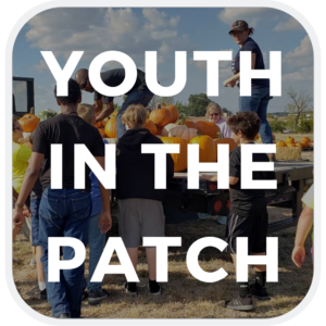 youth in the patch